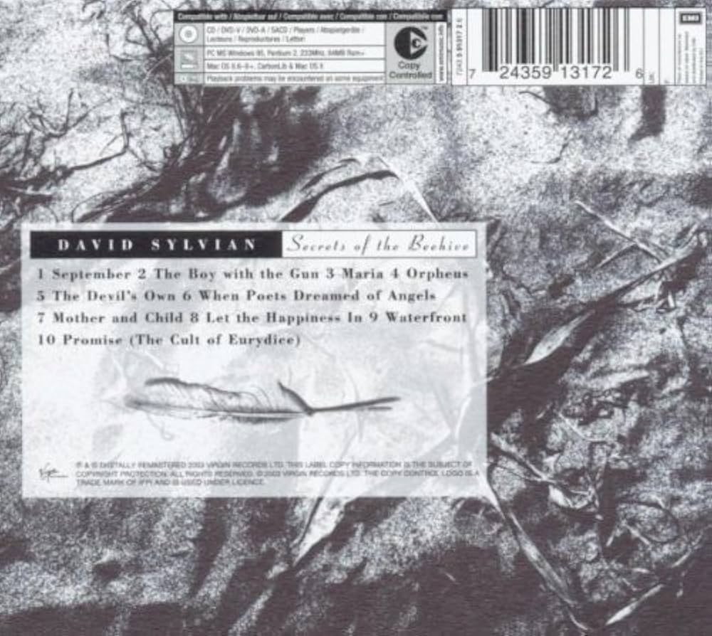 Secrets Of The Beehive: Amazon.ca: Music